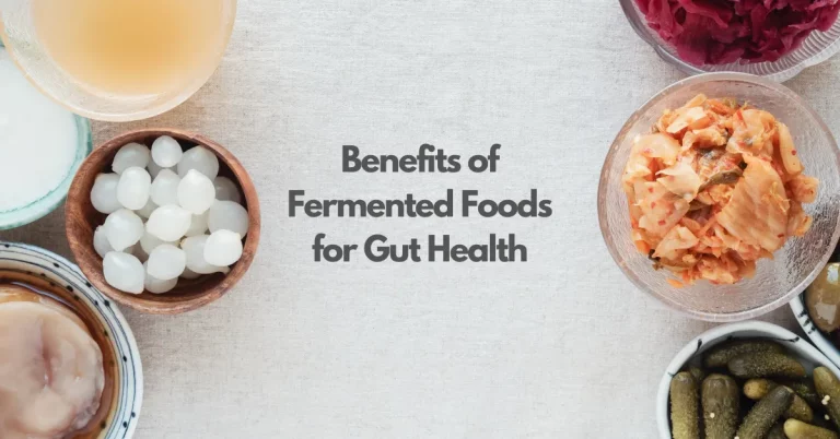 The Benefits of Fermented Foods for Gut Health
